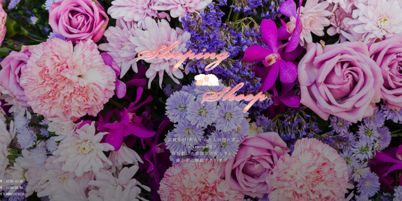 スリーピングシープ｜武蔵小杉