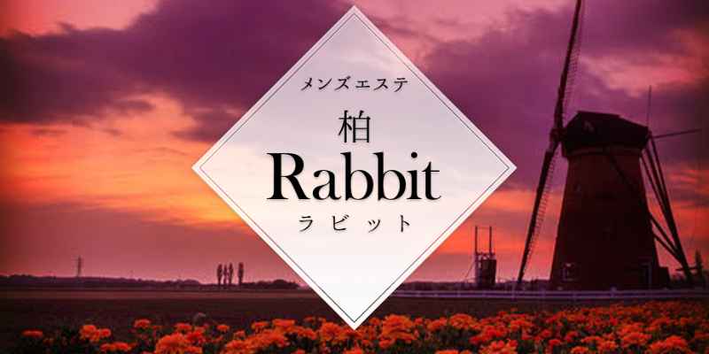 ラビット｜柏